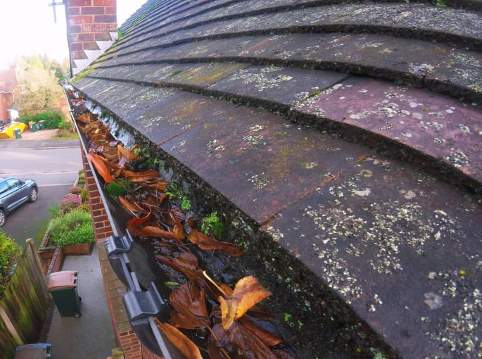 Guttering filled with leaves and debris before cleaning